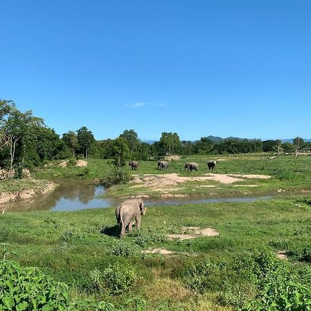 I Love Phants Lodge Ban Huai Thawai Екстер'єр фото