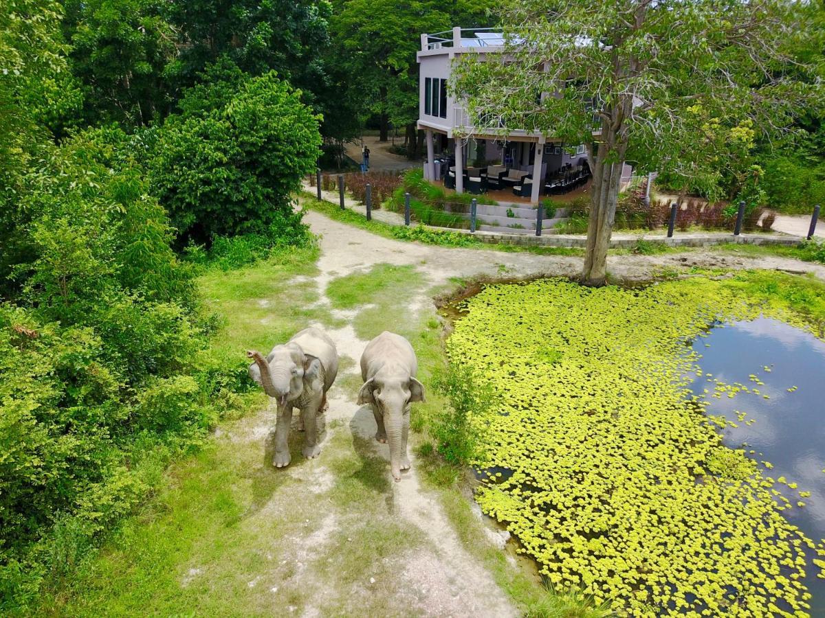 I Love Phants Lodge Ban Huai Thawai Екстер'єр фото