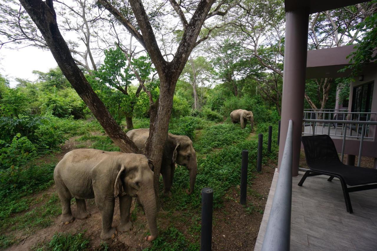 I Love Phants Lodge Ban Huai Thawai Екстер'єр фото