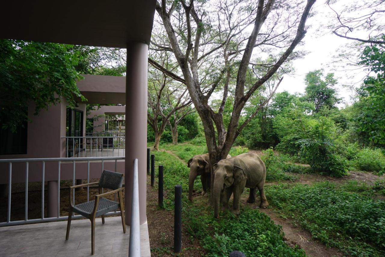 I Love Phants Lodge Ban Huai Thawai Екстер'єр фото