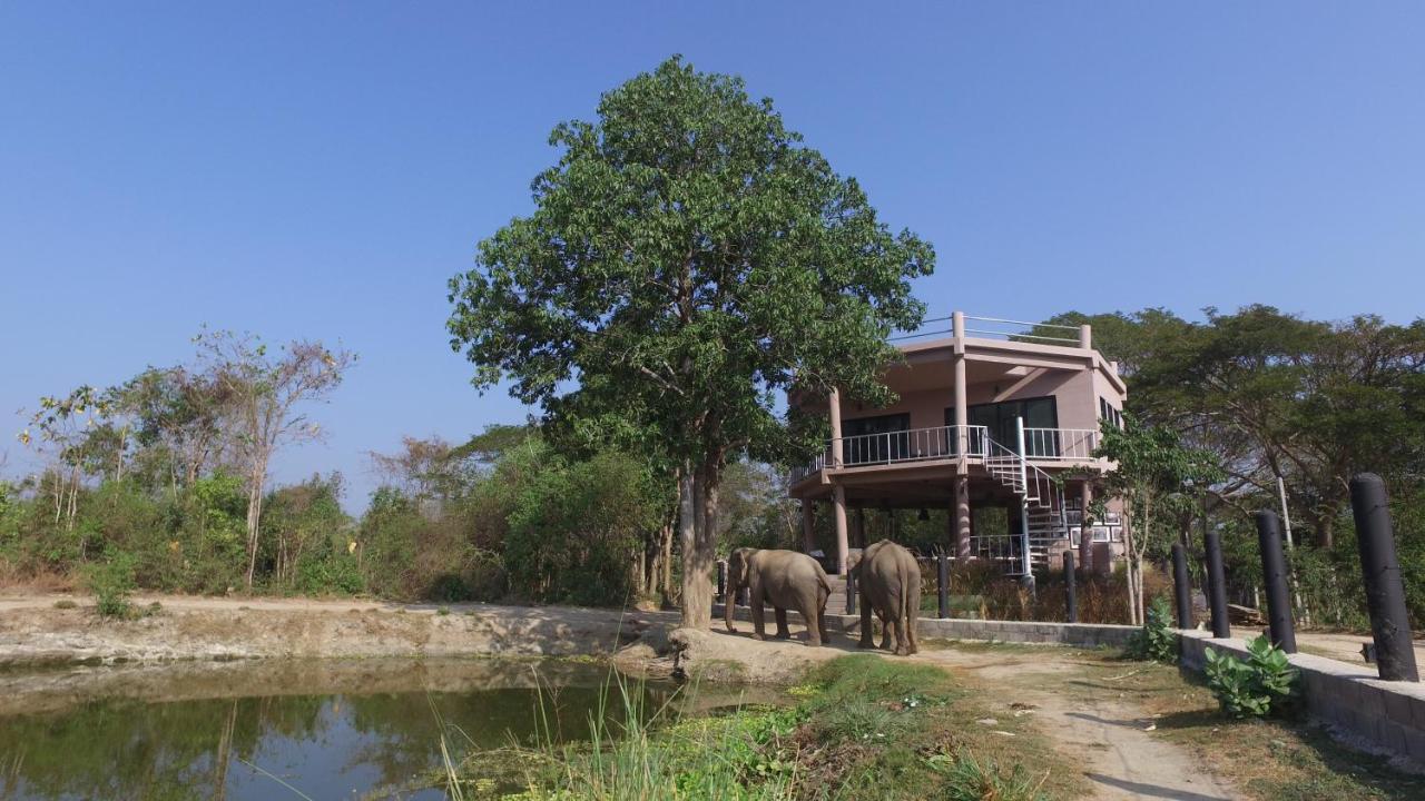I Love Phants Lodge Ban Huai Thawai Екстер'єр фото