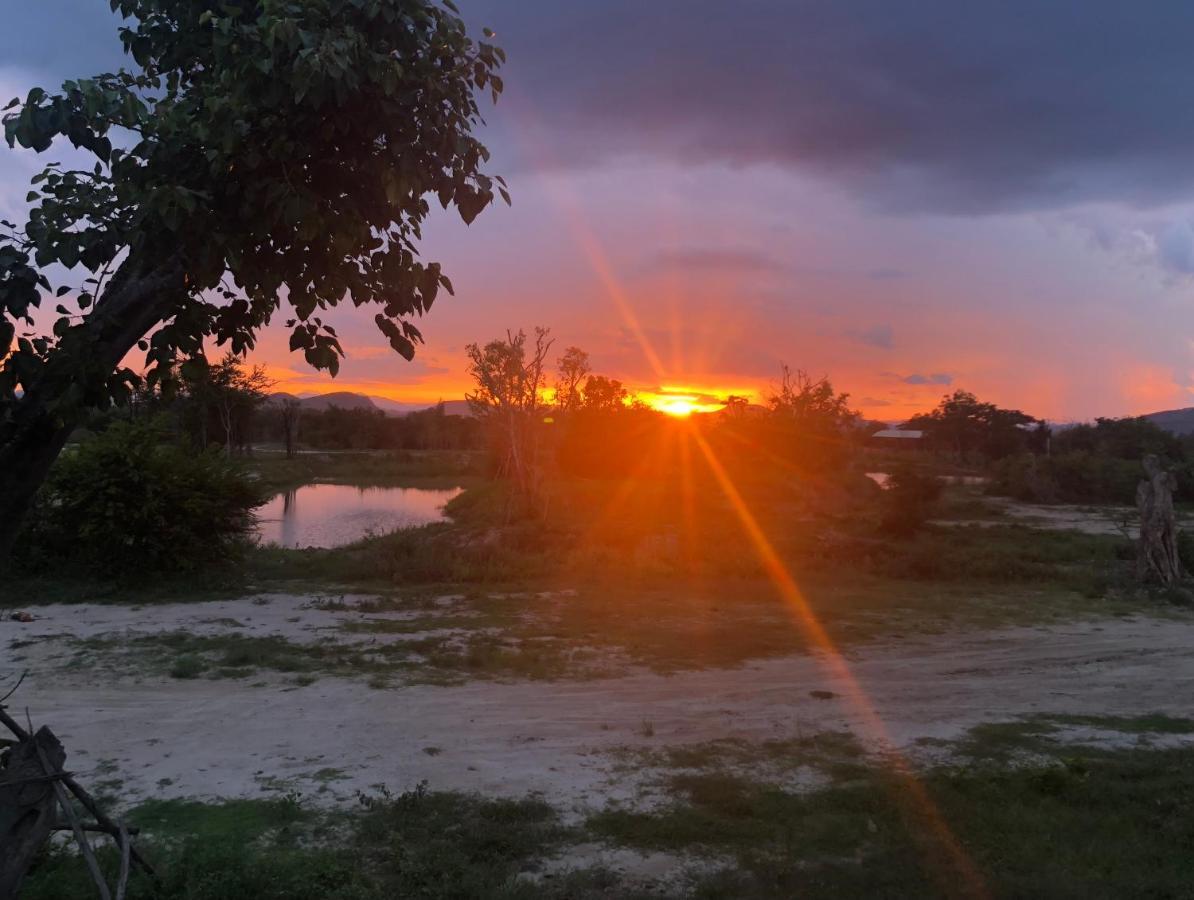 I Love Phants Lodge Ban Huai Thawai Екстер'єр фото