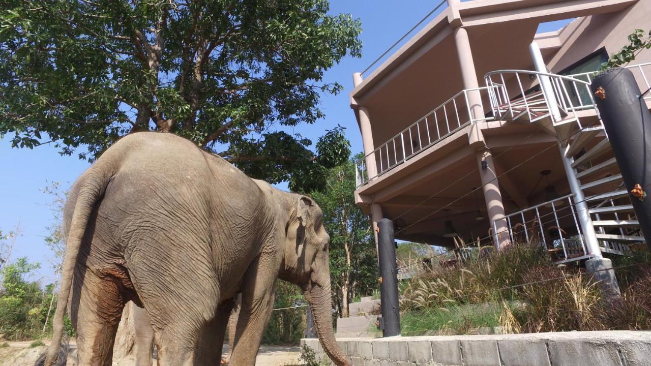 I Love Phants Lodge Ban Huai Thawai Екстер'єр фото