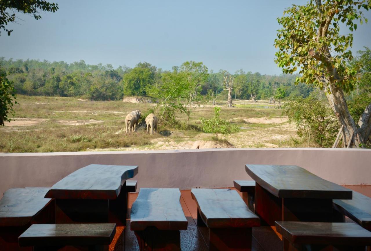 I Love Phants Lodge Ban Huai Thawai Екстер'єр фото