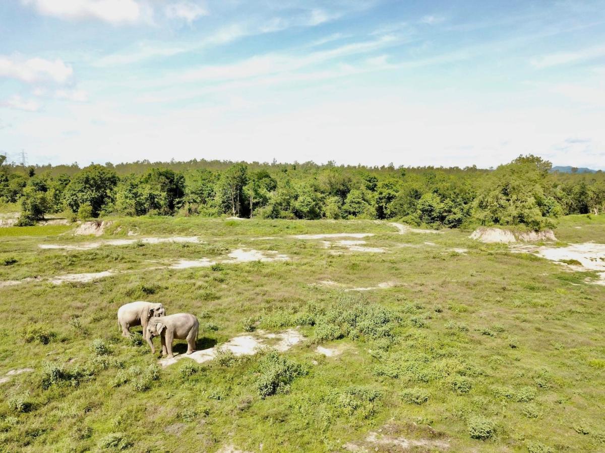 I Love Phants Lodge Ban Huai Thawai Екстер'єр фото