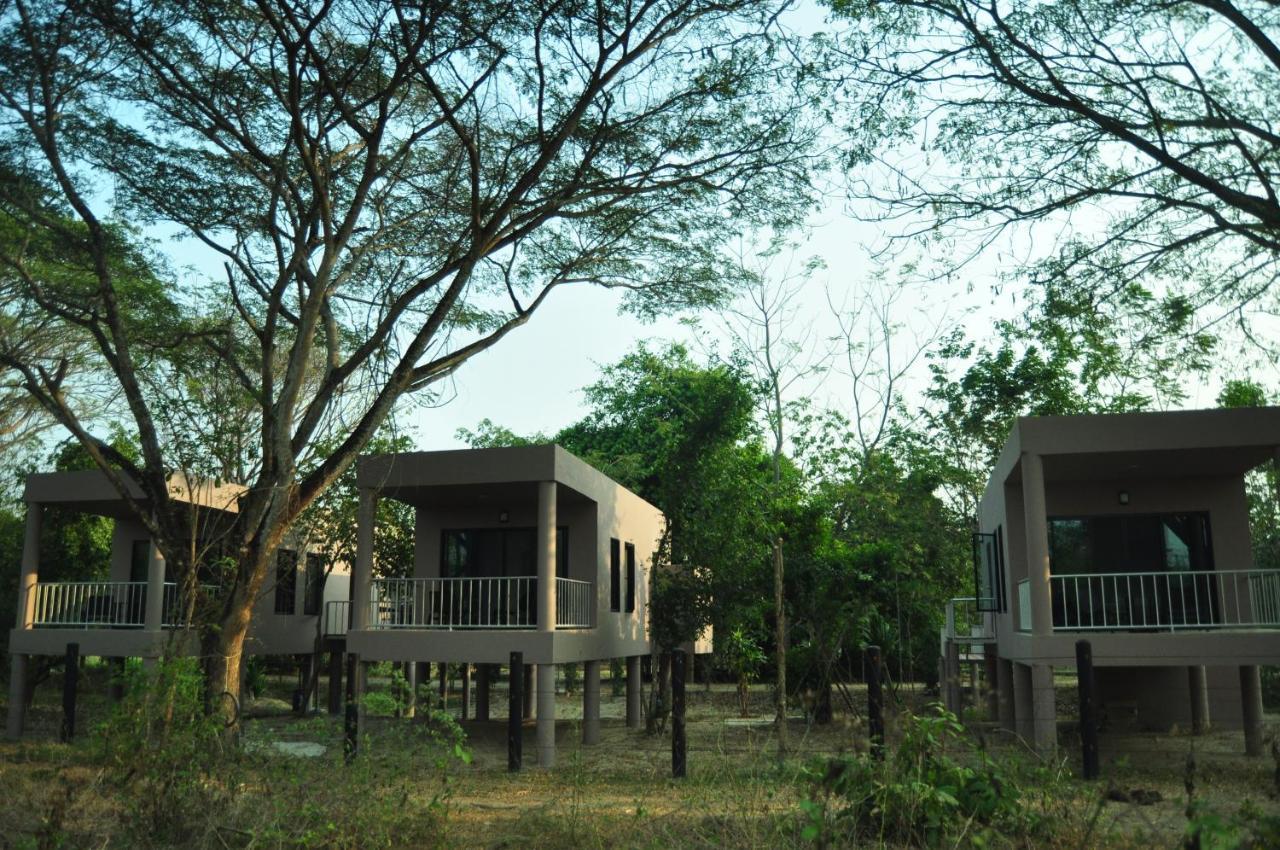 I Love Phants Lodge Ban Huai Thawai Екстер'єр фото
