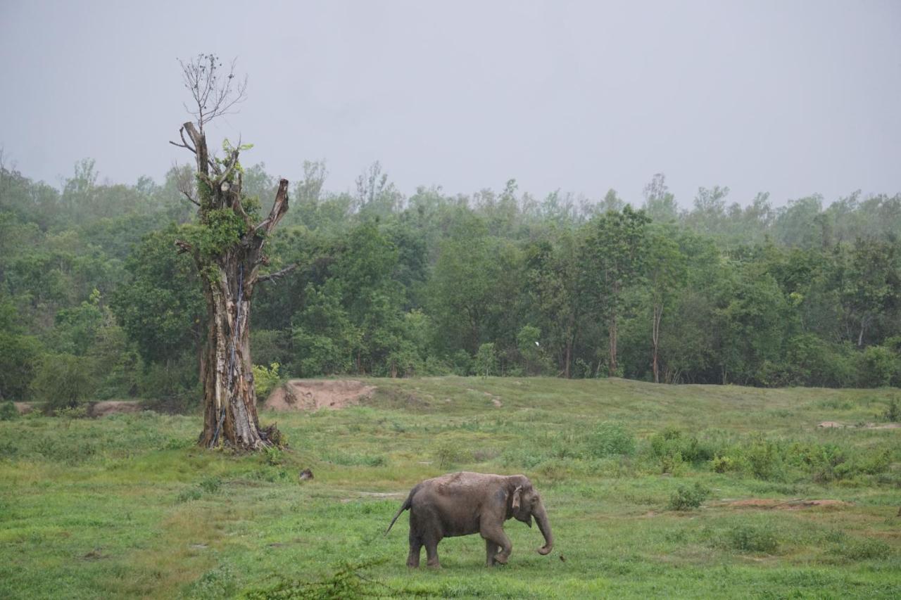 I Love Phants Lodge Ban Huai Thawai Екстер'єр фото