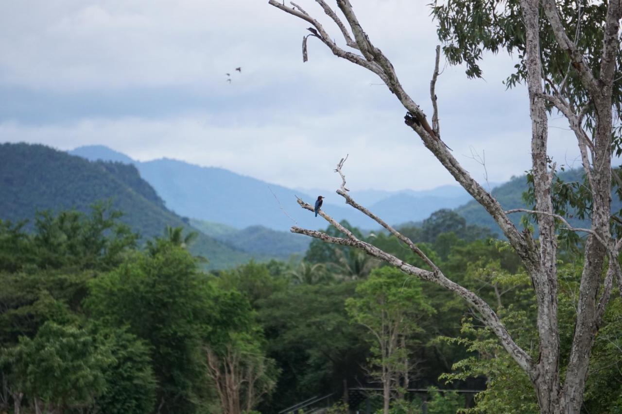 I Love Phants Lodge Ban Huai Thawai Екстер'єр фото