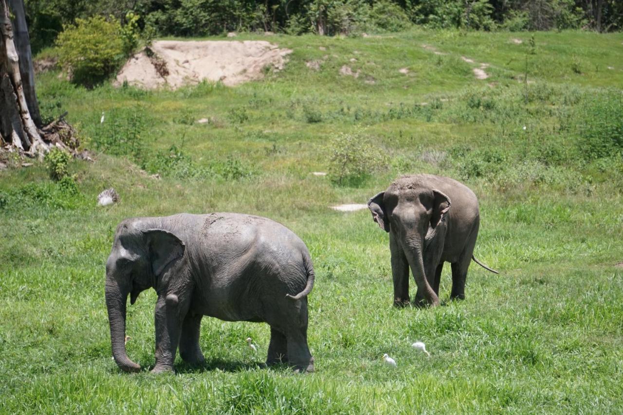 I Love Phants Lodge Ban Huai Thawai Екстер'єр фото