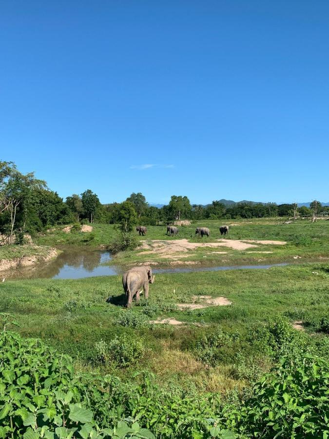 I Love Phants Lodge Ban Huai Thawai Екстер'єр фото