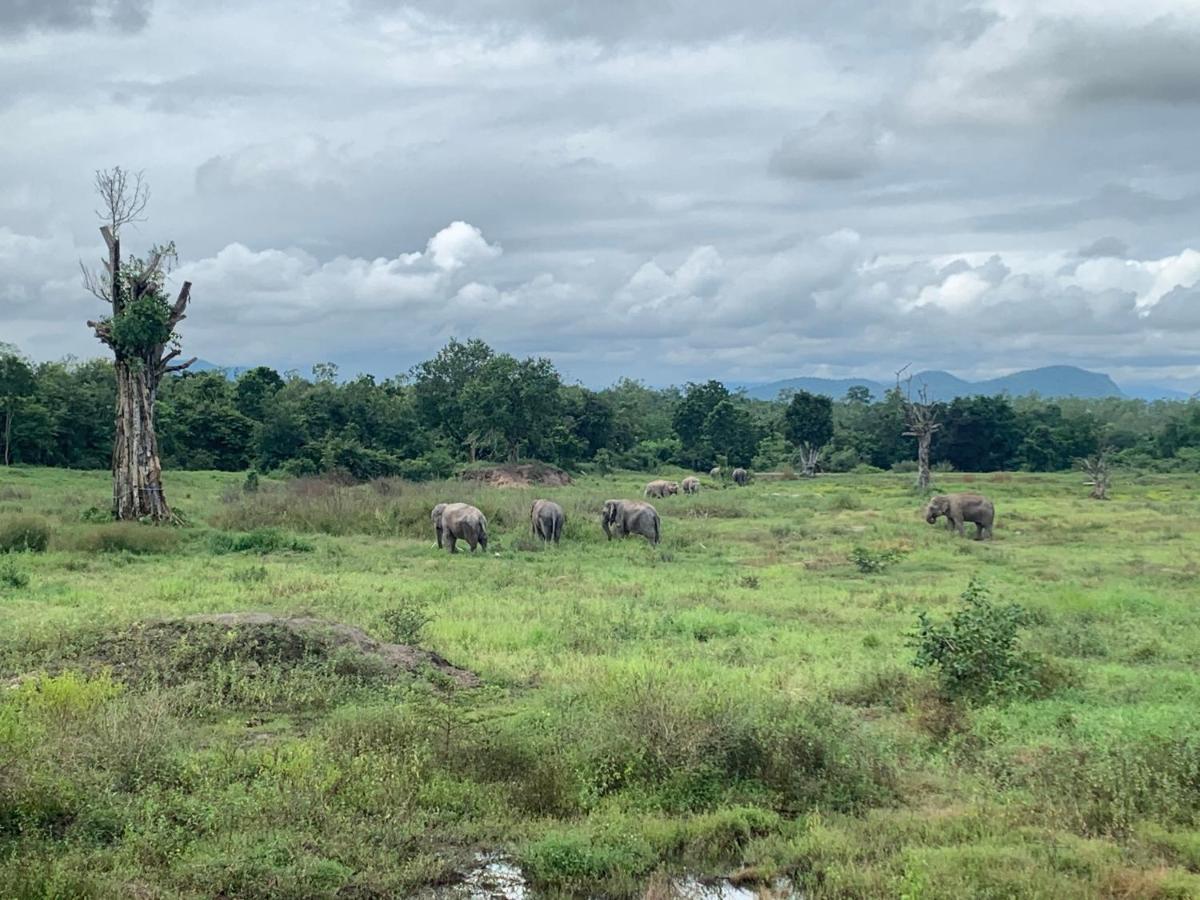I Love Phants Lodge Ban Huai Thawai Екстер'єр фото