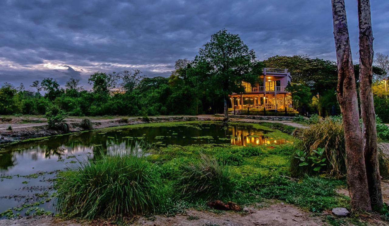 I Love Phants Lodge Ban Huai Thawai Екстер'єр фото