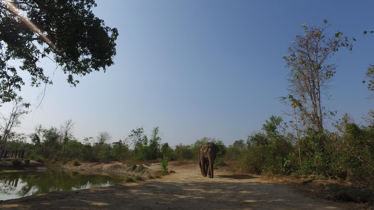 I Love Phants Lodge Ban Huai Thawai Екстер'єр фото